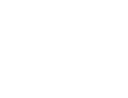 Peak Access Ladder Systems