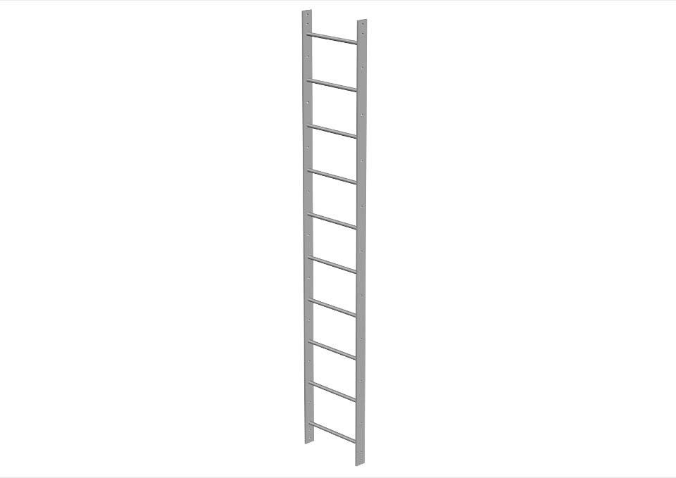 2500mm Long Ladder